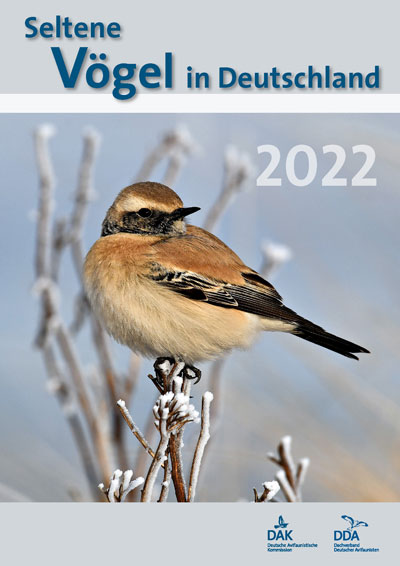 Seltene Vögel in Deutschland 