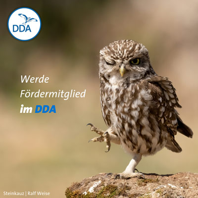 Flyer Fördermitgliedschaft