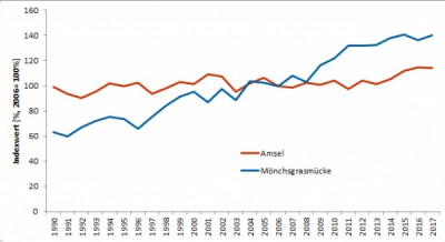 Bestandsveränderungen von Amsel und Mönchsgrasmücke